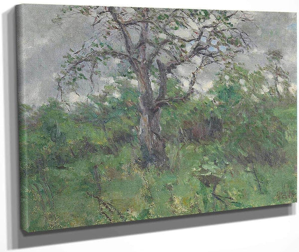 A Landscape With Tree, Spring By John Steuart Curry Fine Art Print