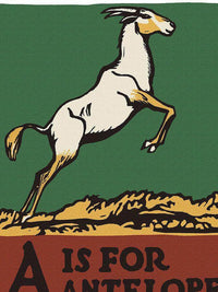 Alphabet  A Is For Antelope By C.B. Falls Fine Art Print