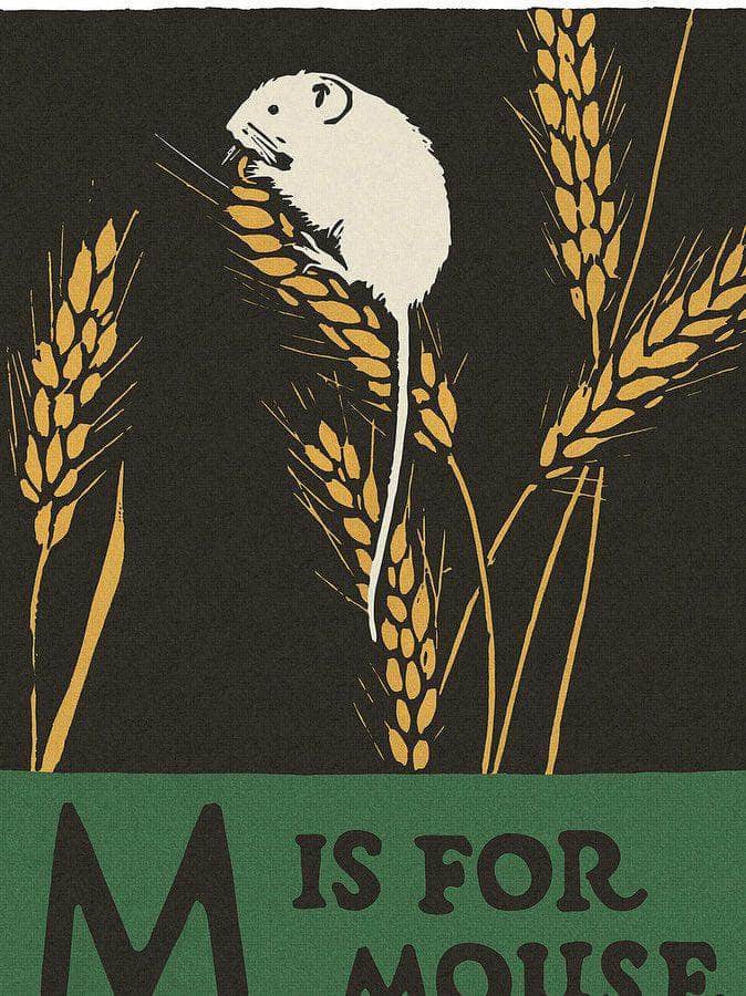 Alphabet  M Is For Mouse By C.B. Falls Fine Art Print