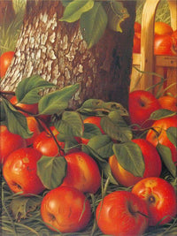 Apples Beneath A Tree By Levi Wells Prentice Fine Art Print