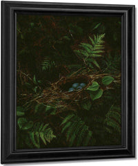 Bird's Nest And Ferns By Fidelia Bridges Fine Art Print