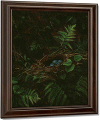 Bird's Nest And Ferns By Fidelia Bridges Fine Art Print