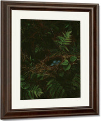 Bird's Nest And Ferns By Fidelia Bridges Fine Art Print