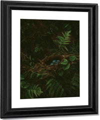 Bird's Nest And Ferns By Fidelia Bridges Fine Art Print