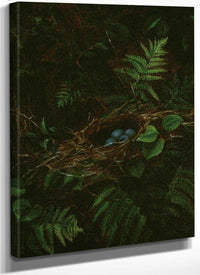 Bird's Nest And Ferns By Fidelia Bridges Fine Art Print