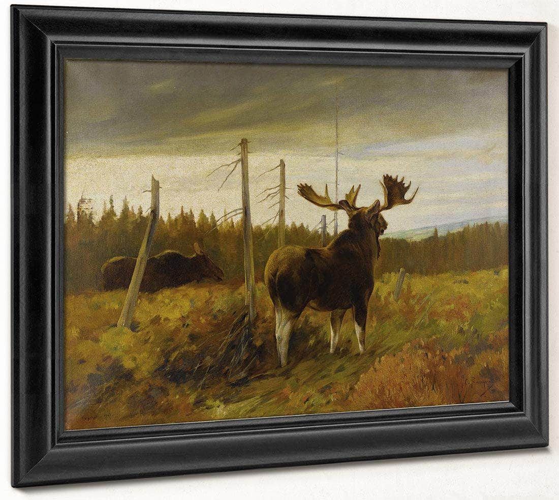 Moose In A Clearing By Carl Rungius Fine Art Print