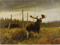 Moose In A Clearing By Carl Rungius Fine Art Print