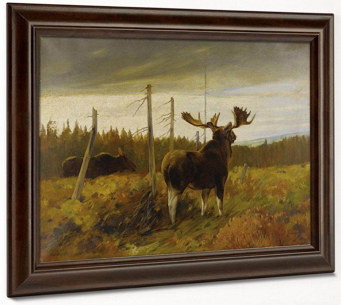 Moose In A Clearing By Carl Rungius Fine Art Print