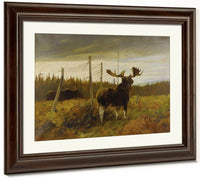 Moose In A Clearing By Carl Rungius Fine Art Print