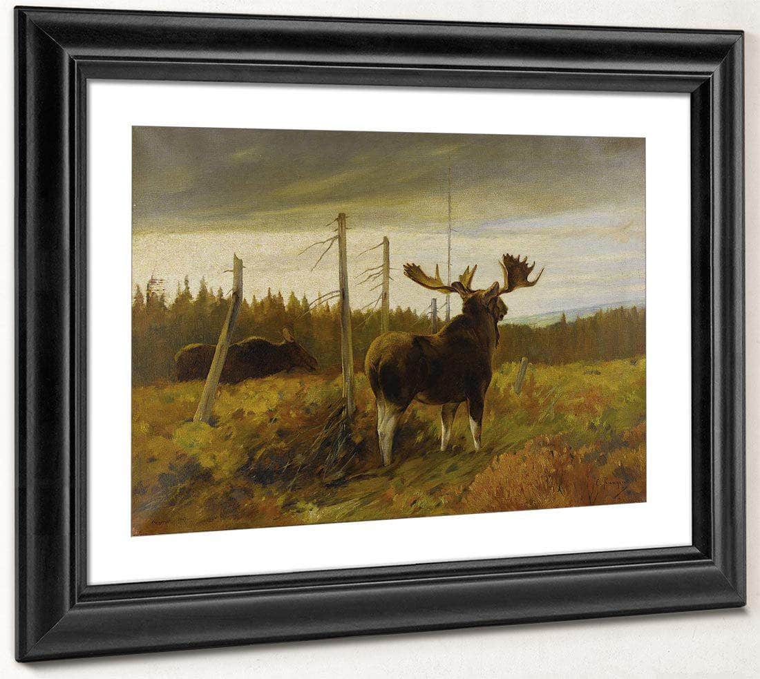 Moose In A Clearing By Carl Rungius Fine Art Print