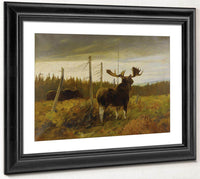 Moose In A Clearing By Carl Rungius Fine Art Print