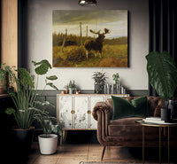 Moose In A Clearing By Carl Rungius Fine Art Print