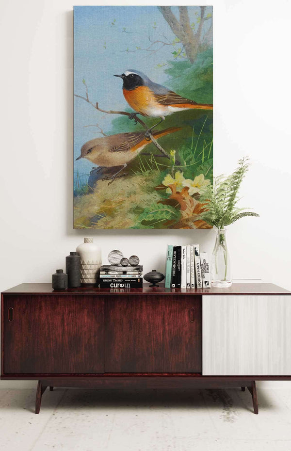 Pair Of Redstarts by Archibald Thorburn Posters, Prints, & Visual Artwork