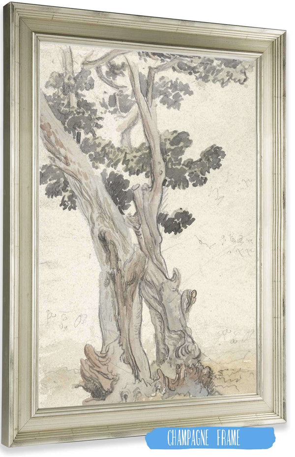 Study Of A Tree by James Ward Posters, Prints, & Visual Artwork