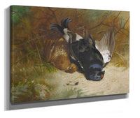 Still Life Of A Pair Of Blackgame by Archibald Thorburn