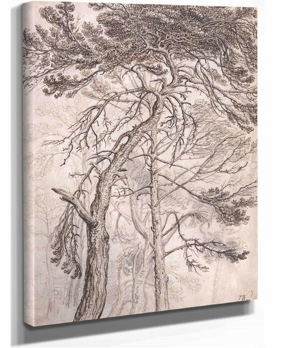 Study Of Trees by James Ward