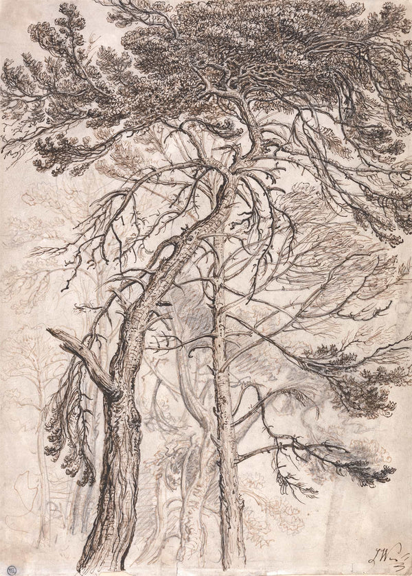 Study Of Trees by James Ward