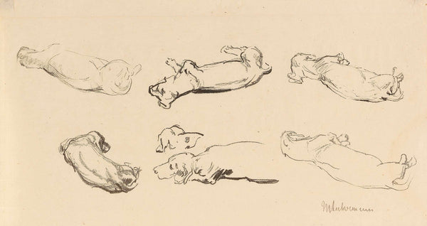 Teckelstudien by Max Liebermann