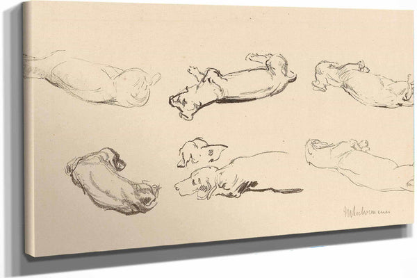 Teckelstudien by Max Liebermann