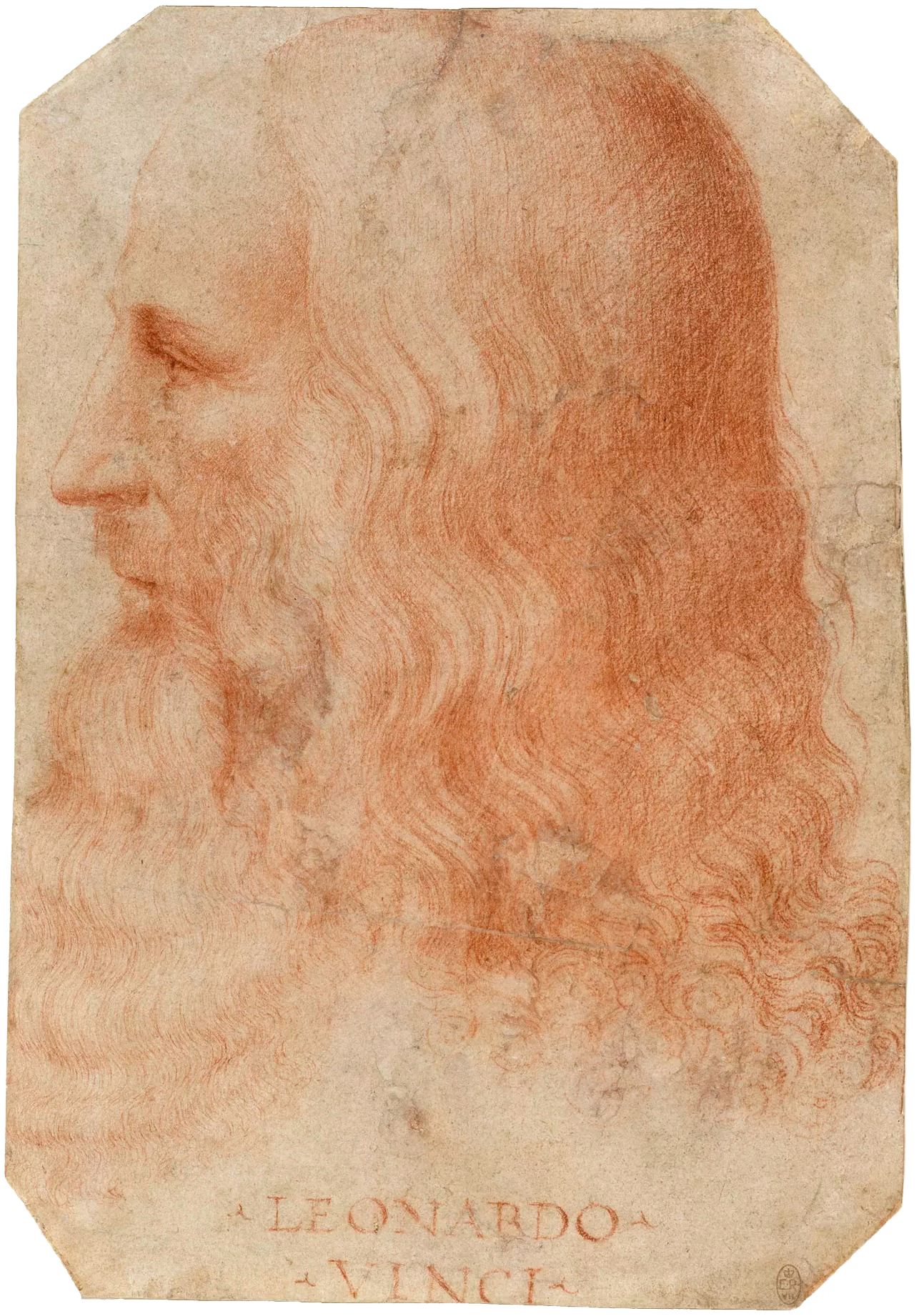 The Life and Times of Leonardo Da Vinci