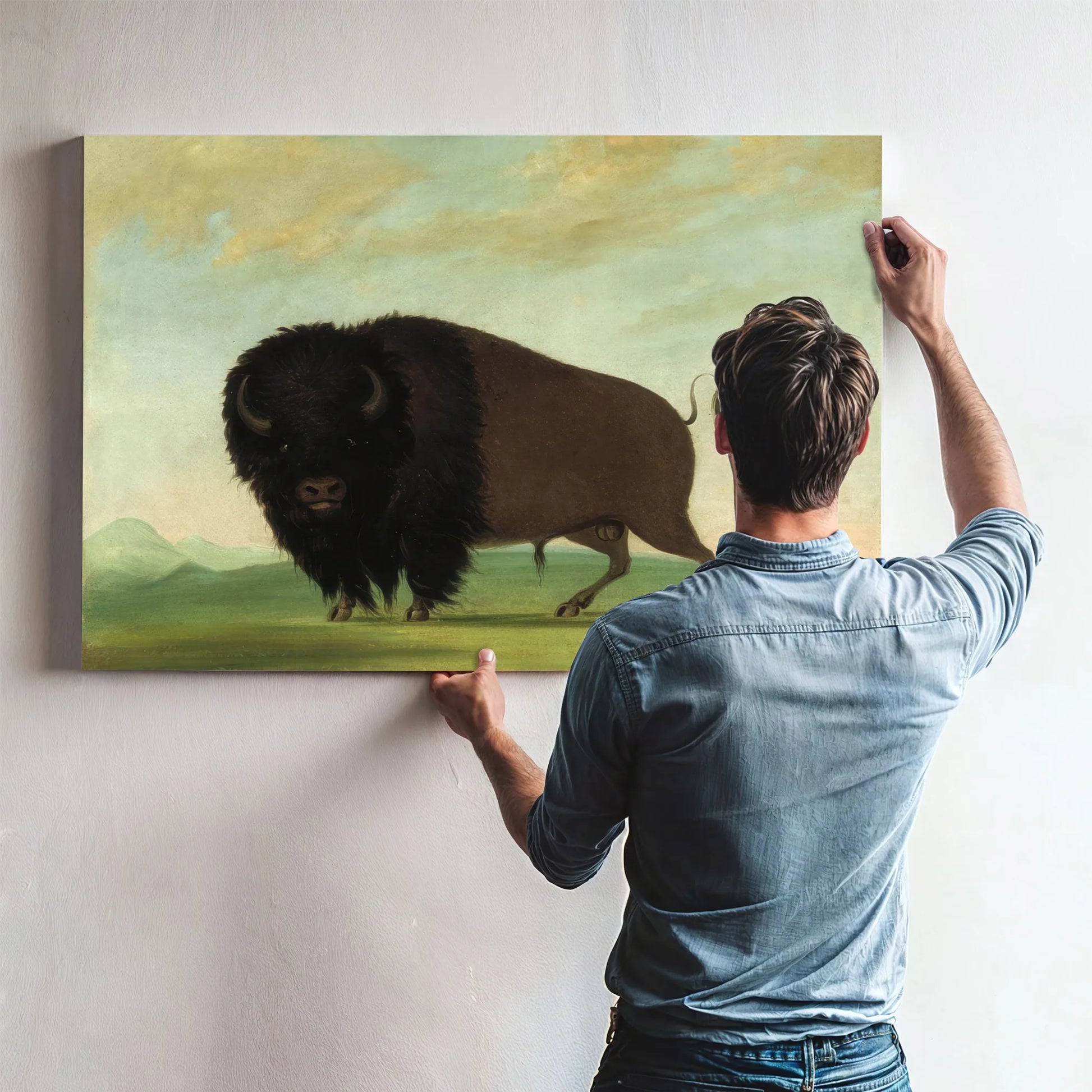 Buffalo Bull, Grazing On The Prairie By George Catlin Fine Art Print