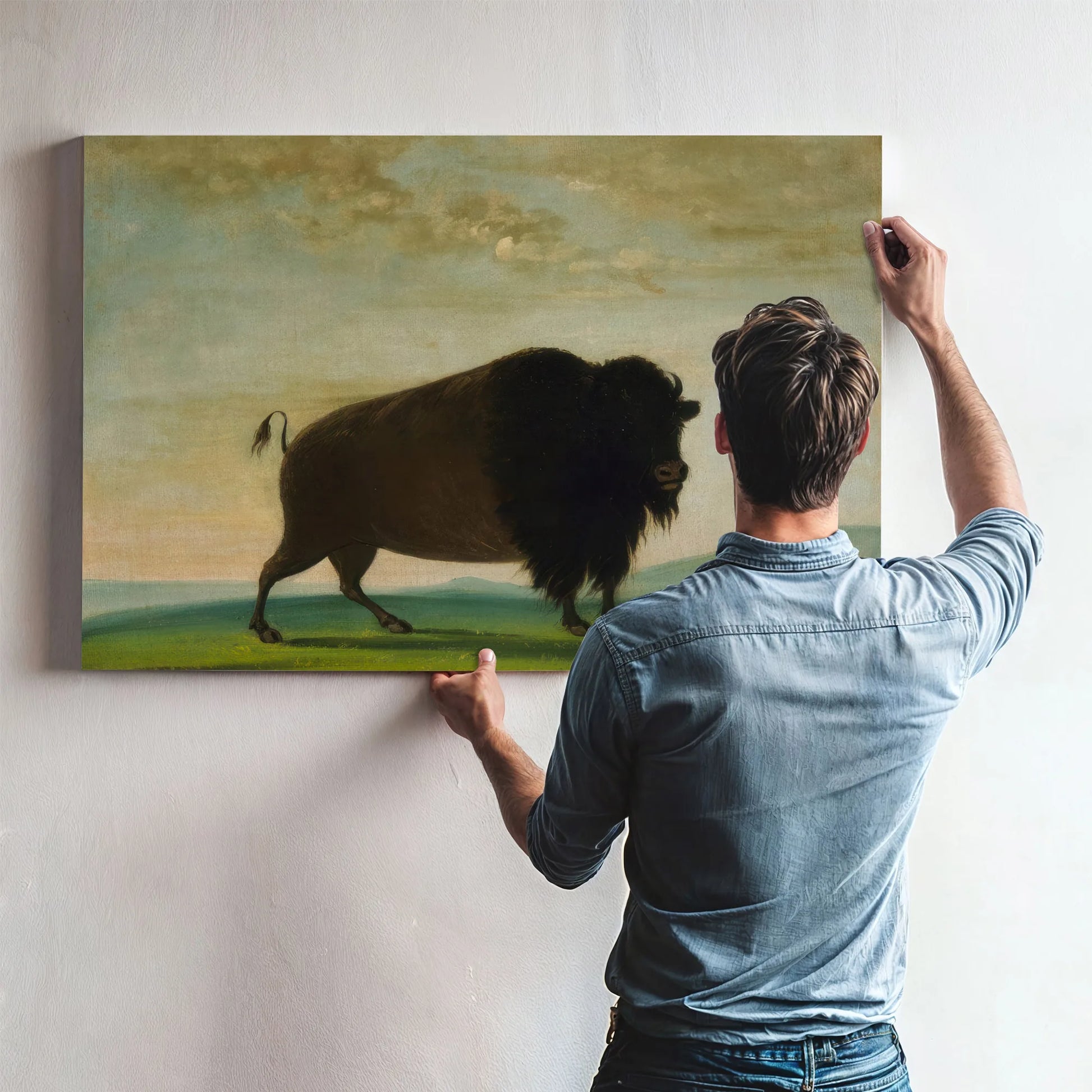 Buffalo Cow, Grazing On The Prairie By George Catlin Fine Art Print