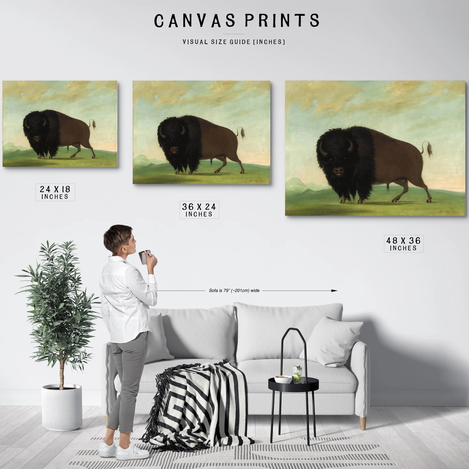 Buffalo Bull, Grazing On The Prairie By George Catlin Fine Art Print