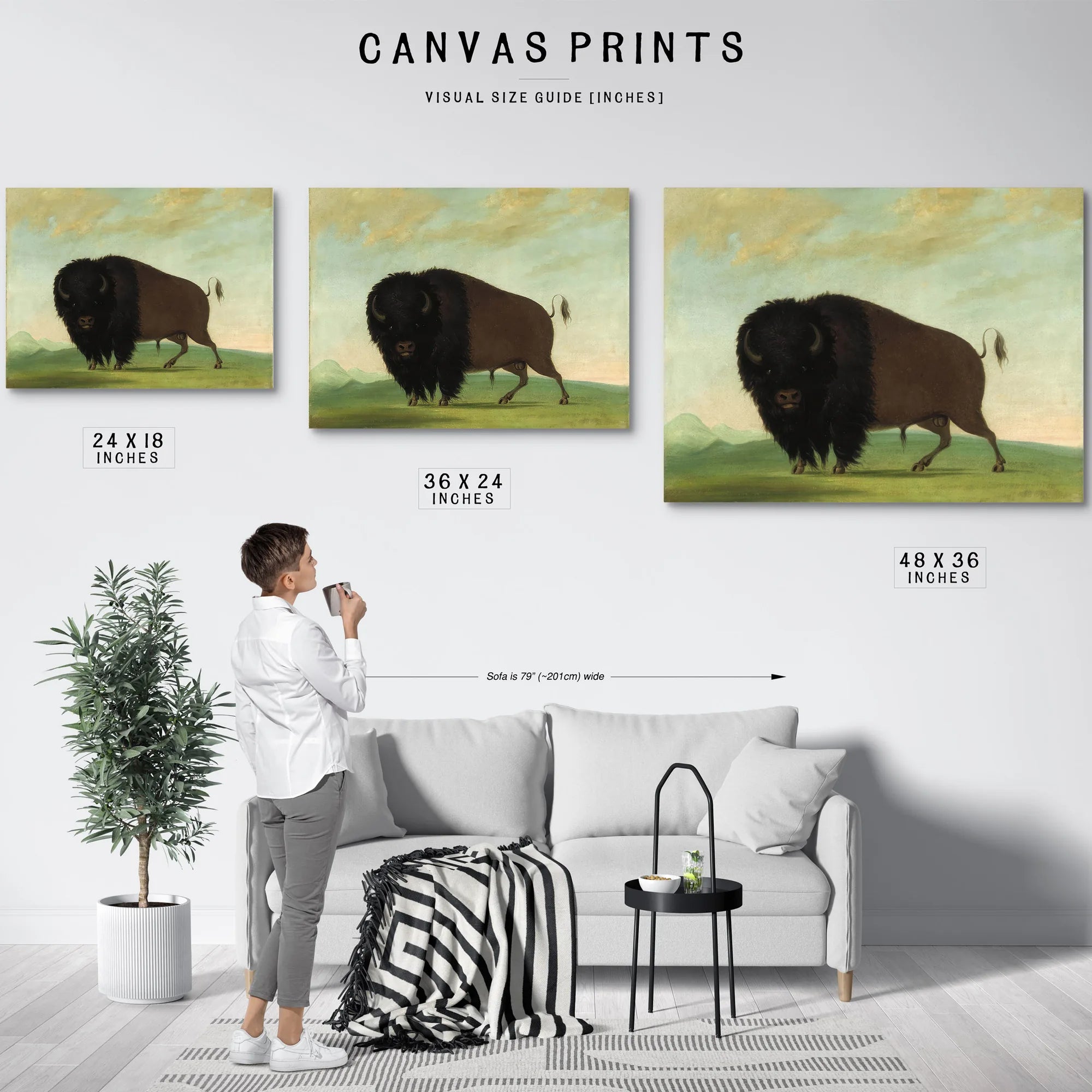Buffalo Bull, Grazing On The Prairie By George Catlin Fine Art Print
