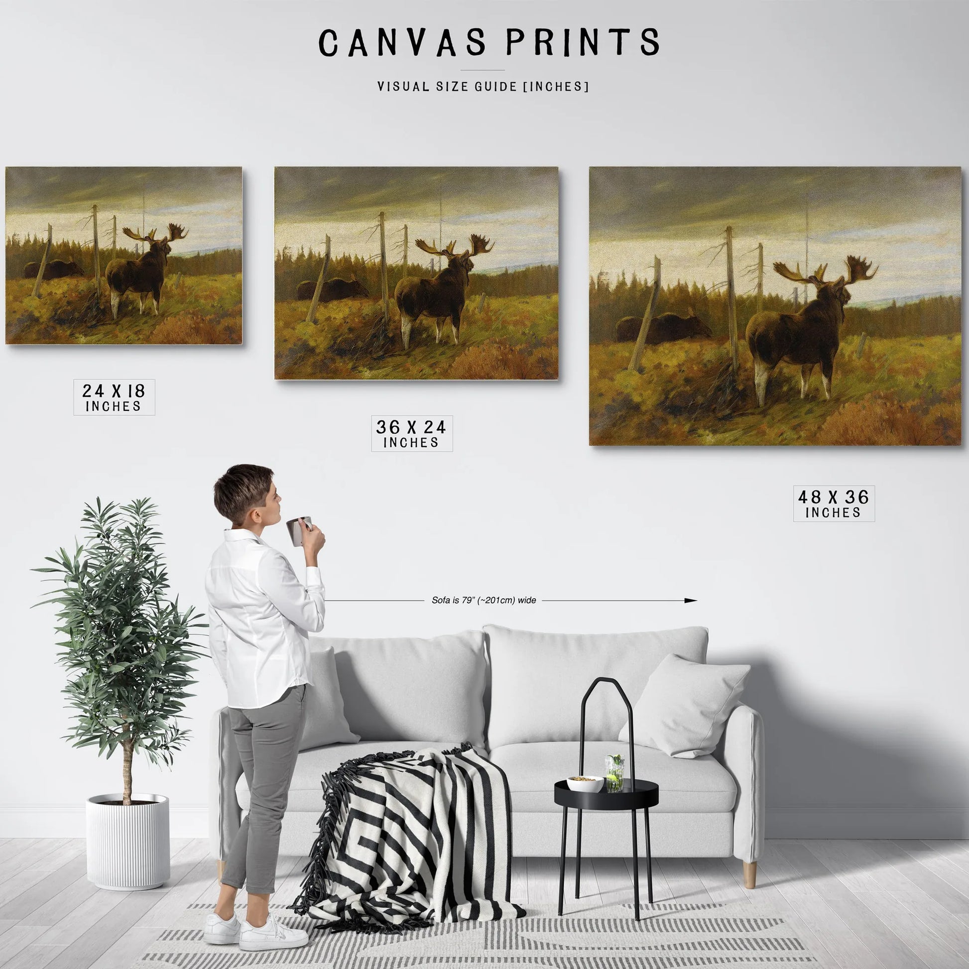 Moose In A Clearing By Carl Rungius Fine Art Print