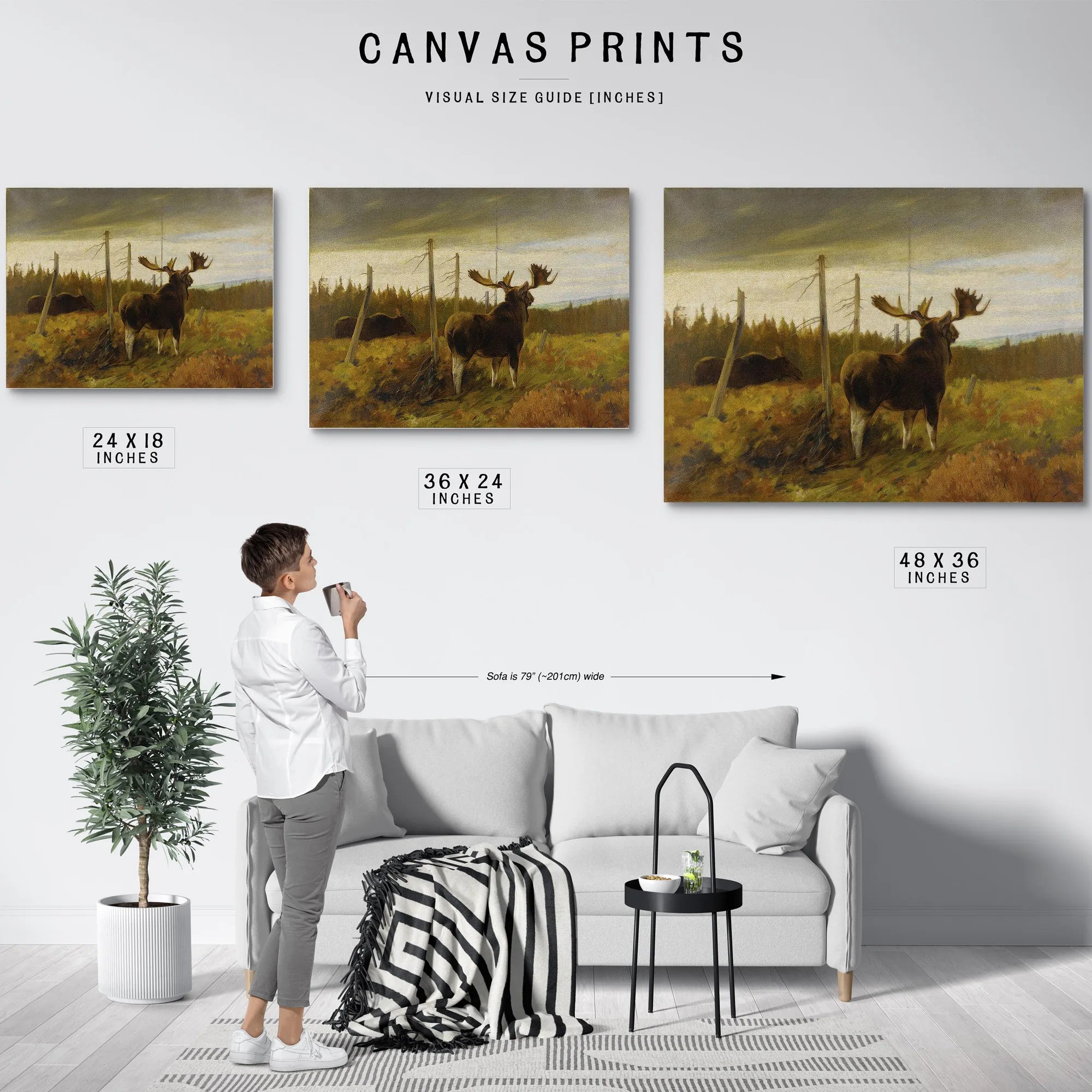 Moose In A Clearing By Carl Rungius Fine Art Print