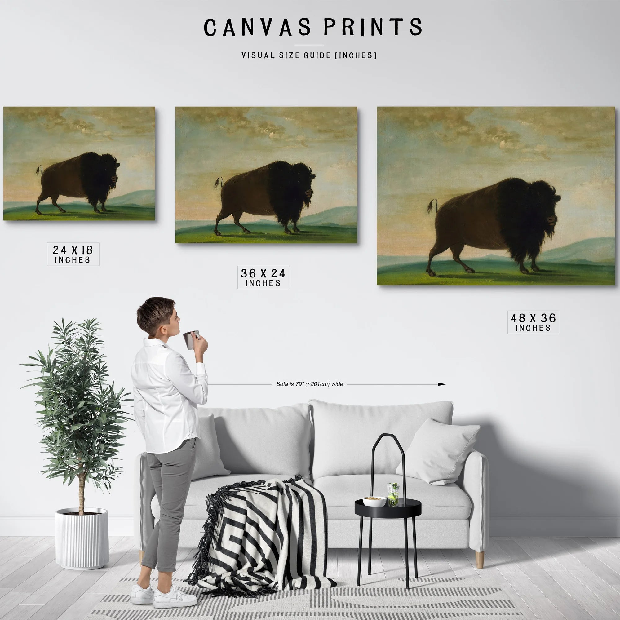 Buffalo Cow, Grazing On The Prairie By George Catlin Fine Art Print