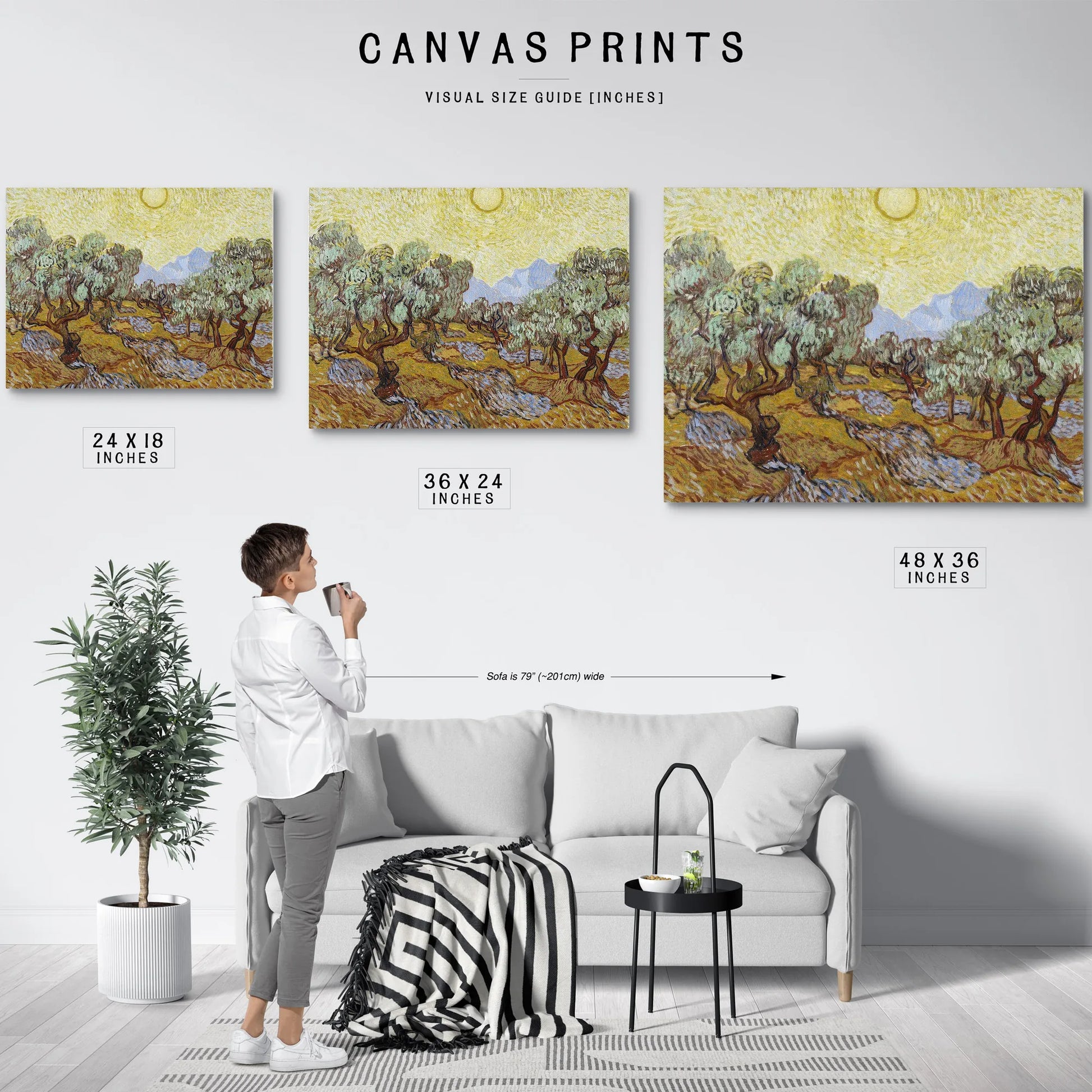 Olive Trees By Vincent Van Gogh Fine Art Print