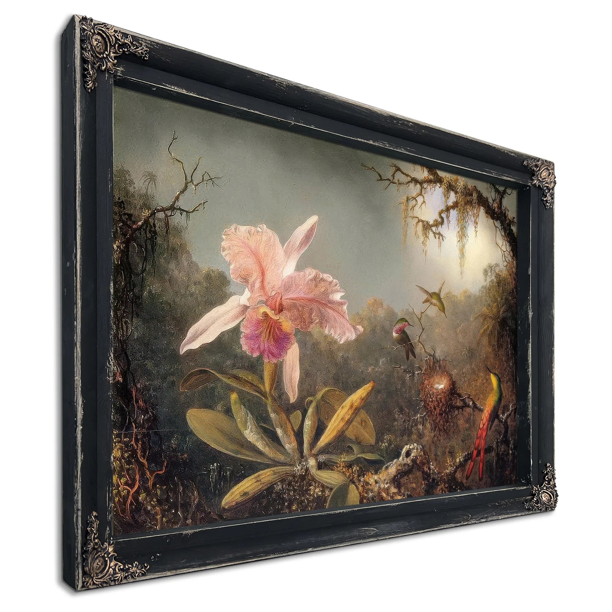 Cattleya Orchid And Three Brtazilian Hummingbirds By Martin Johnson Heade Fine Art Print