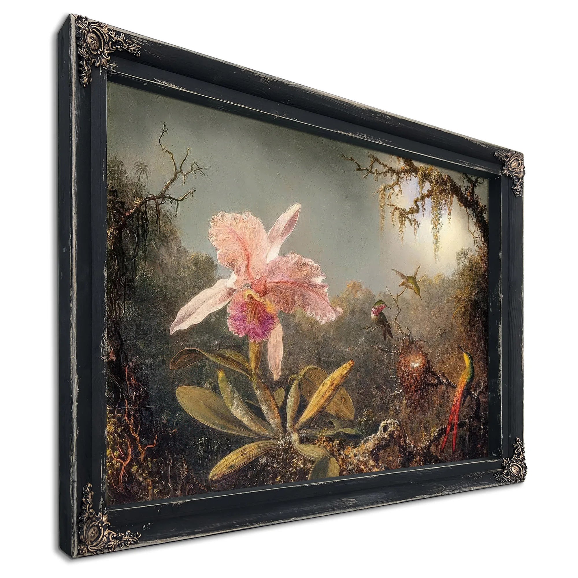 Cattleya Orchid And Three Brtazilian Hummingbirds By Martin Johnson Heade Fine Art Print