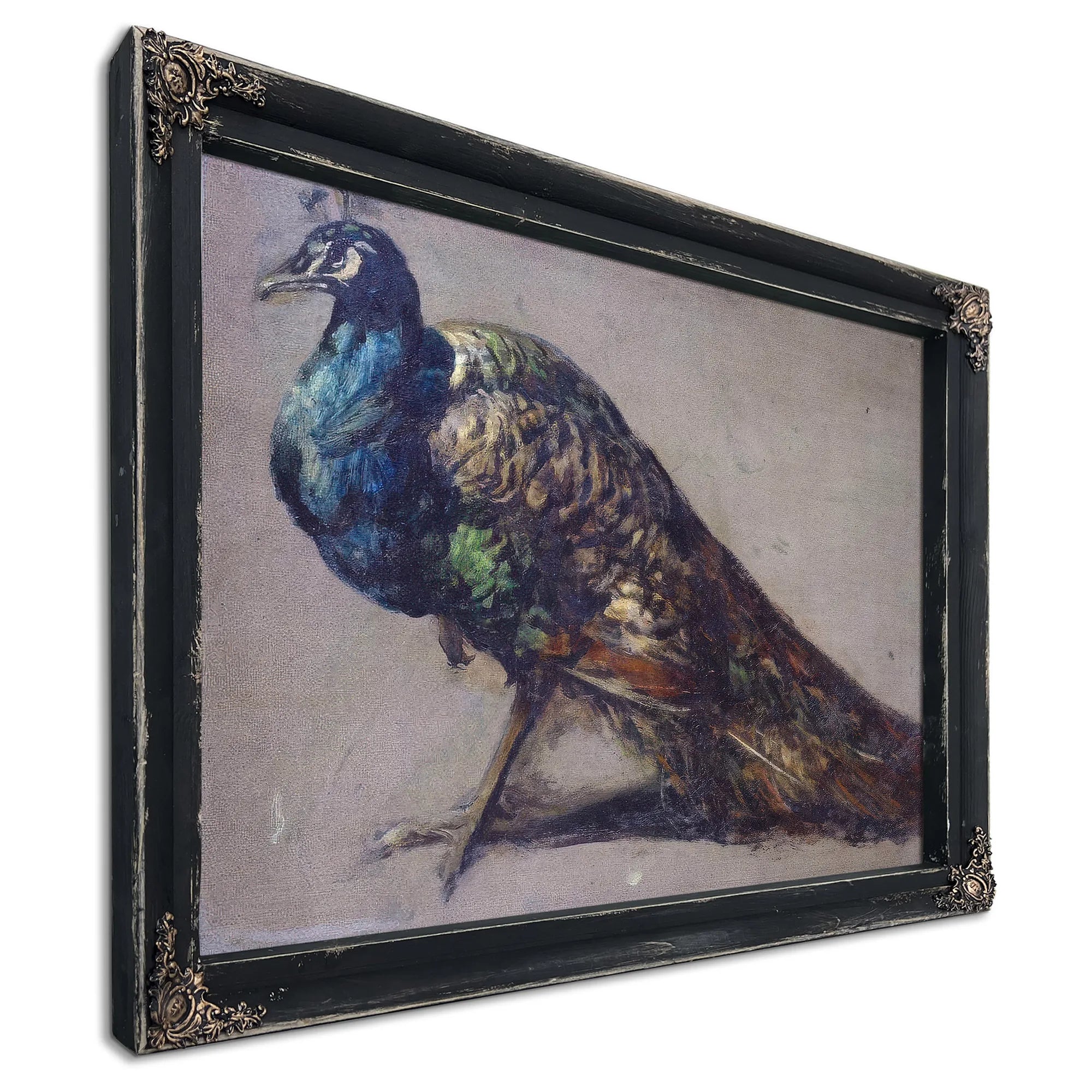 Study Of A Peacock For 'The Judgement Of Paris' By William Etty Fine Art Print