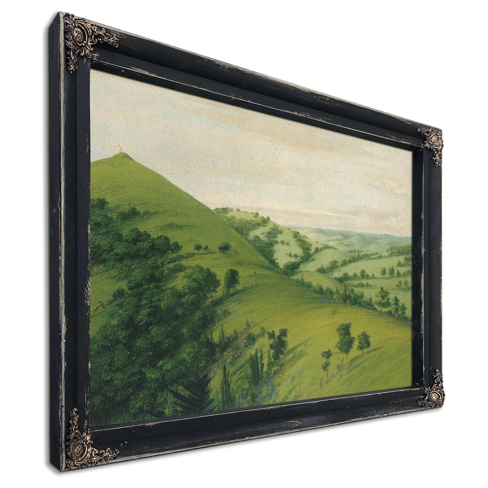 Blackbird's Grave, A Back View, Prairies Enameled With Flowers By George Catlin Fine Art Print