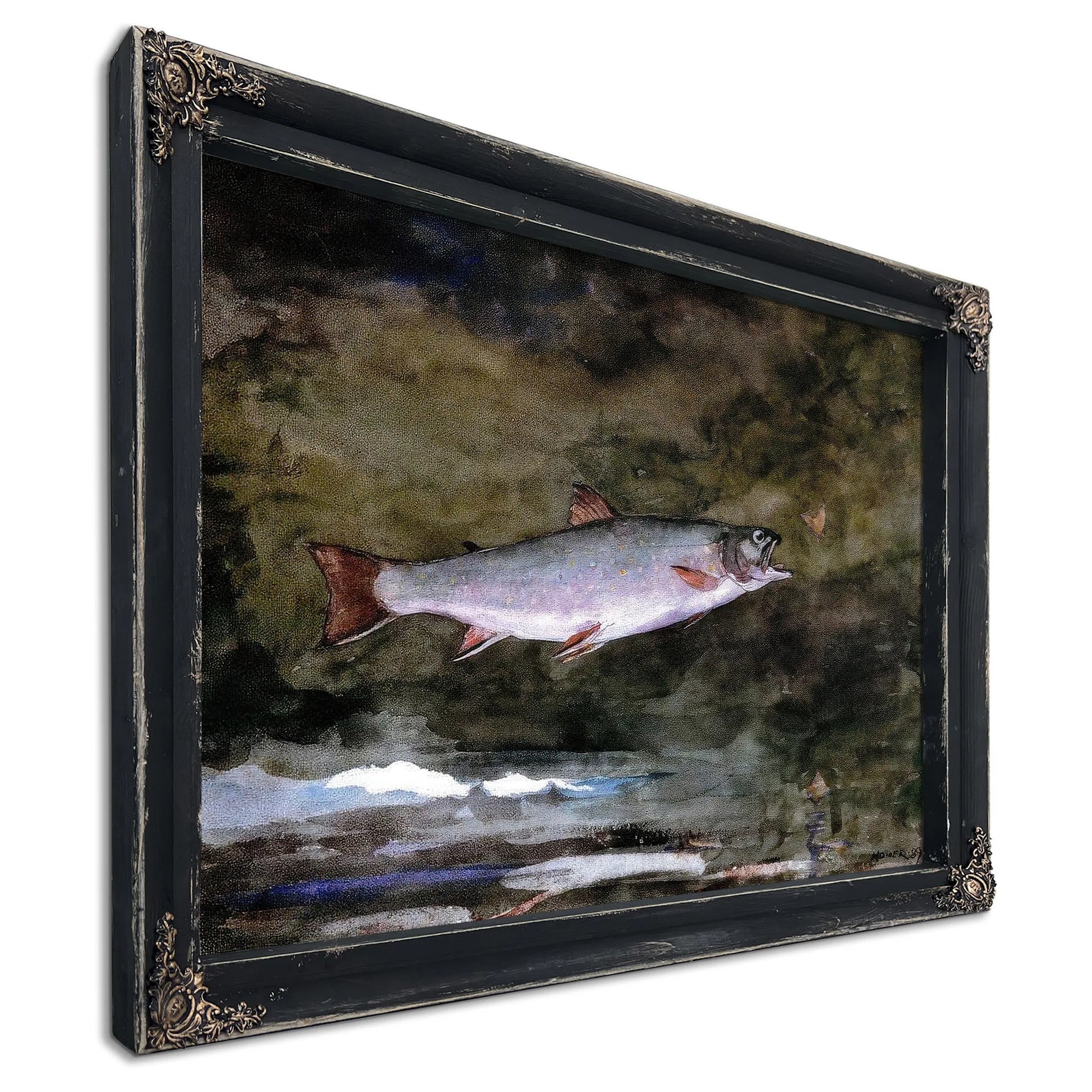 Leaping Trout By Winslow Homer Fine Art Print