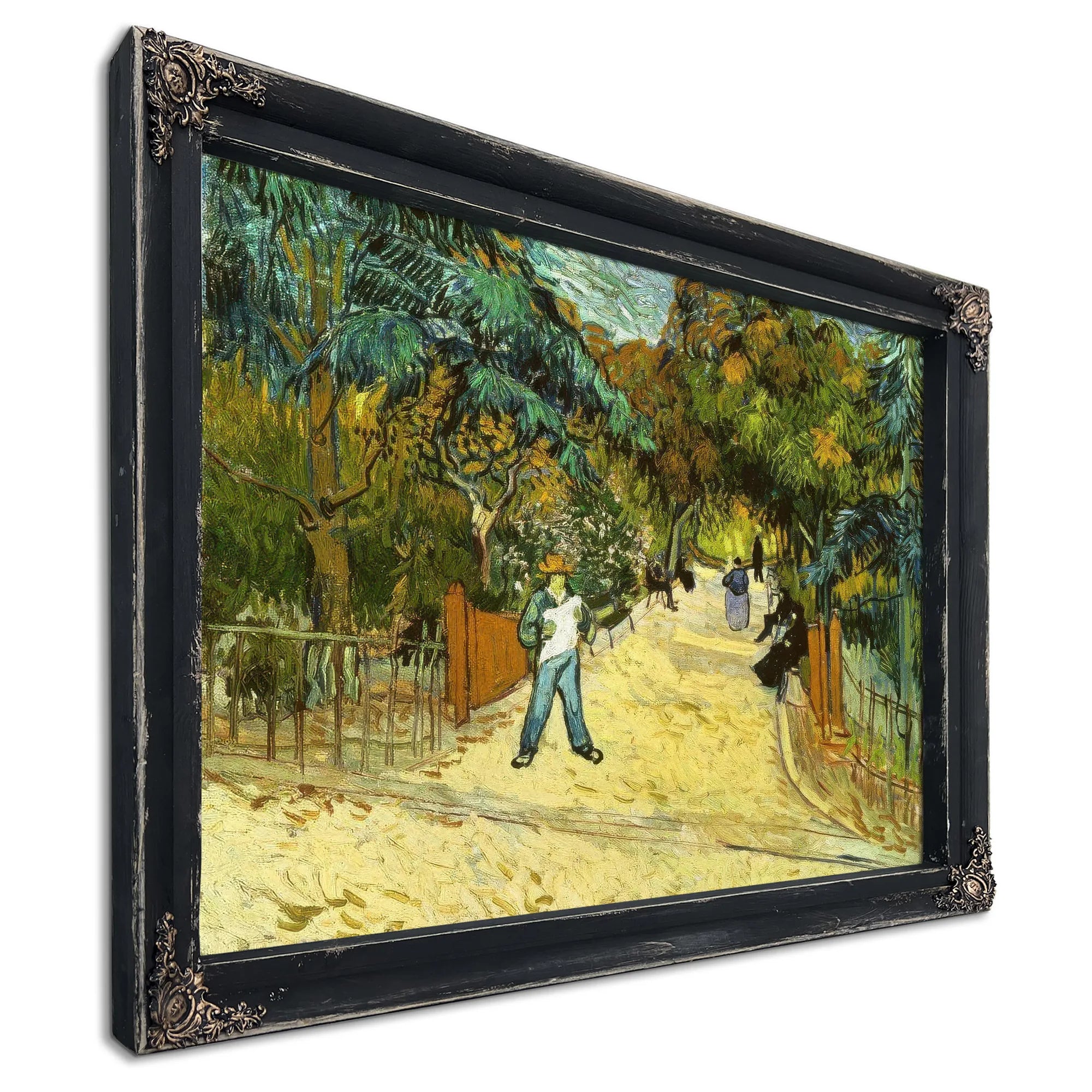 Entrance To The Public Gardens In Arles By Vincent Van Gogh Fine Art Print