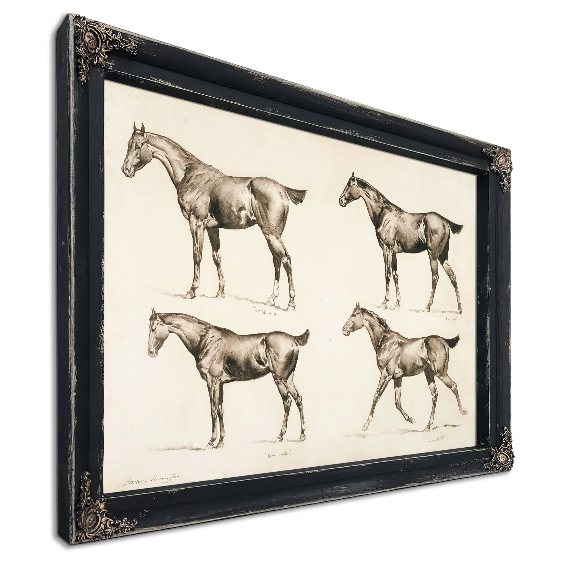 Types Of Saddle Horses by Frederic Remington