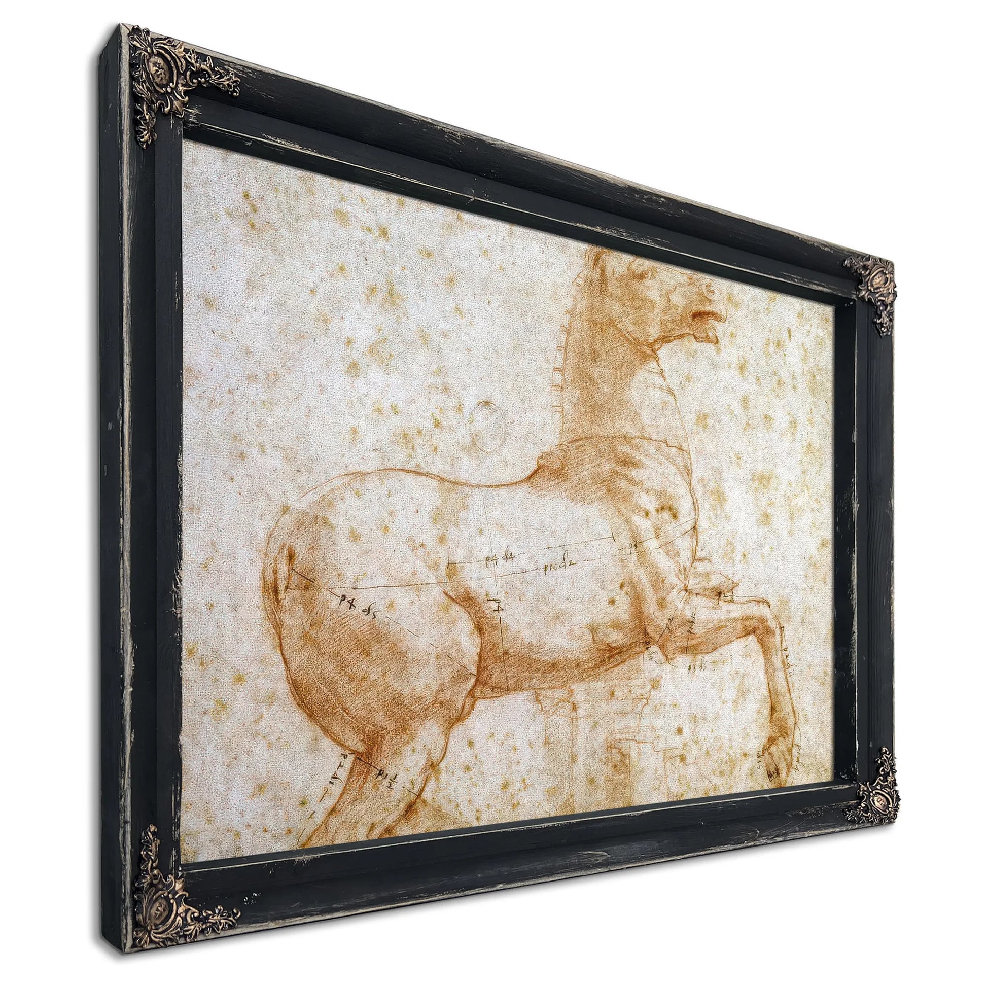 Study Of One Of The Quirinal Marble Horses By Raphael Fine Art Print