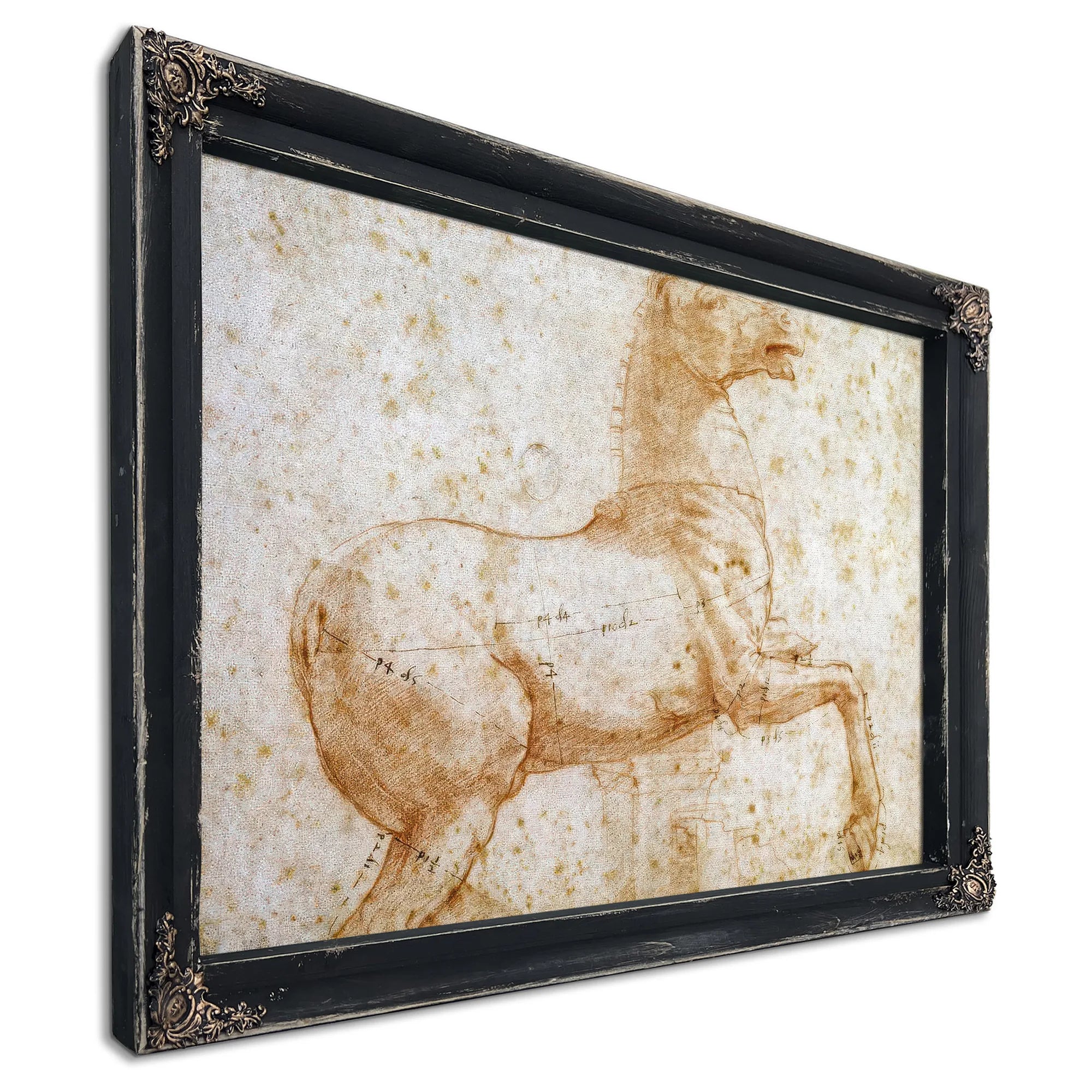Study Of One Of The Quirinal Marble Horses By Raphael Fine Art Print