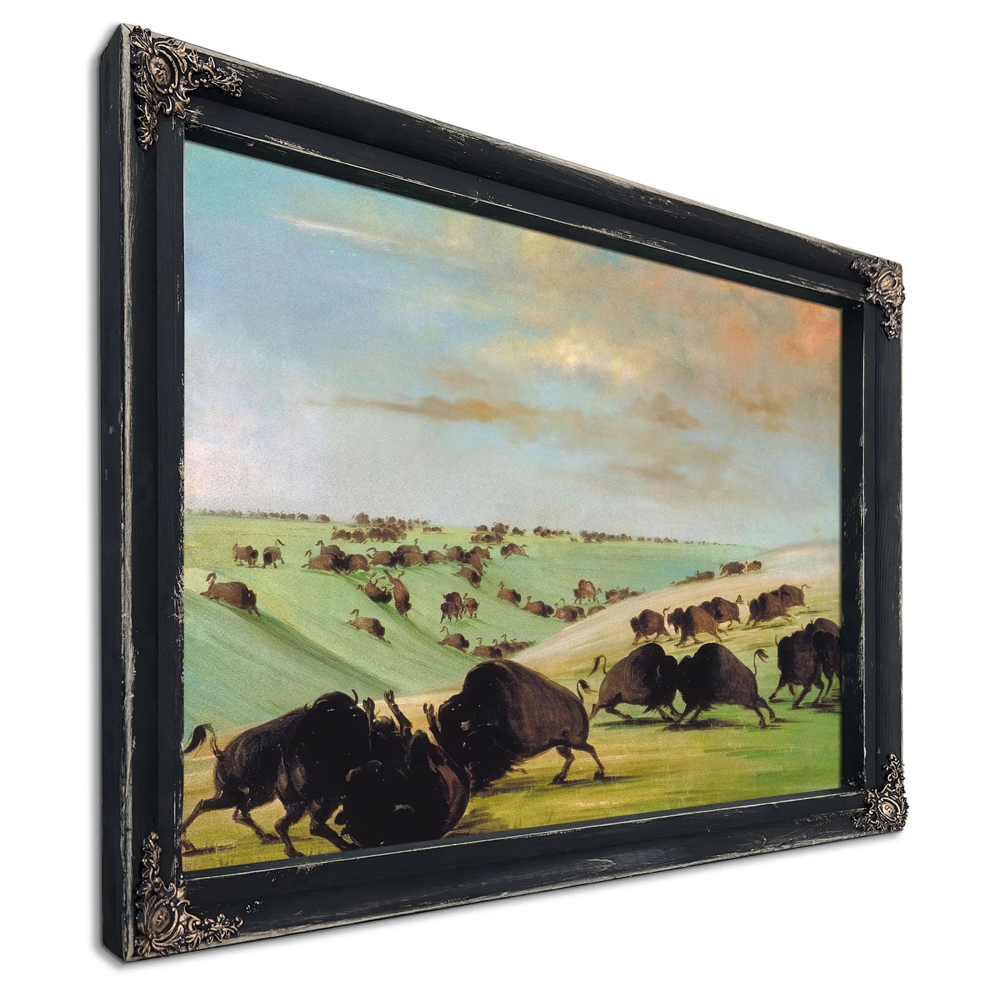 Buffalo Bulls Fighting In Running Season, Upper Missouri By George Catlin Fine Art Print