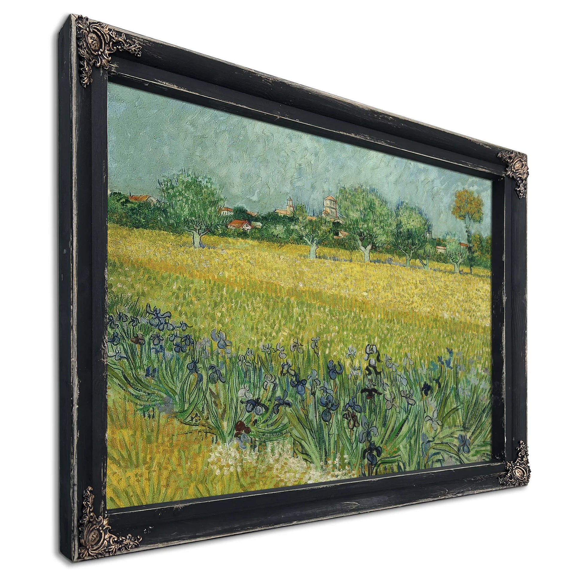 Field With Flowers Near Arles By Vincent Van Gogh Fine Art Print