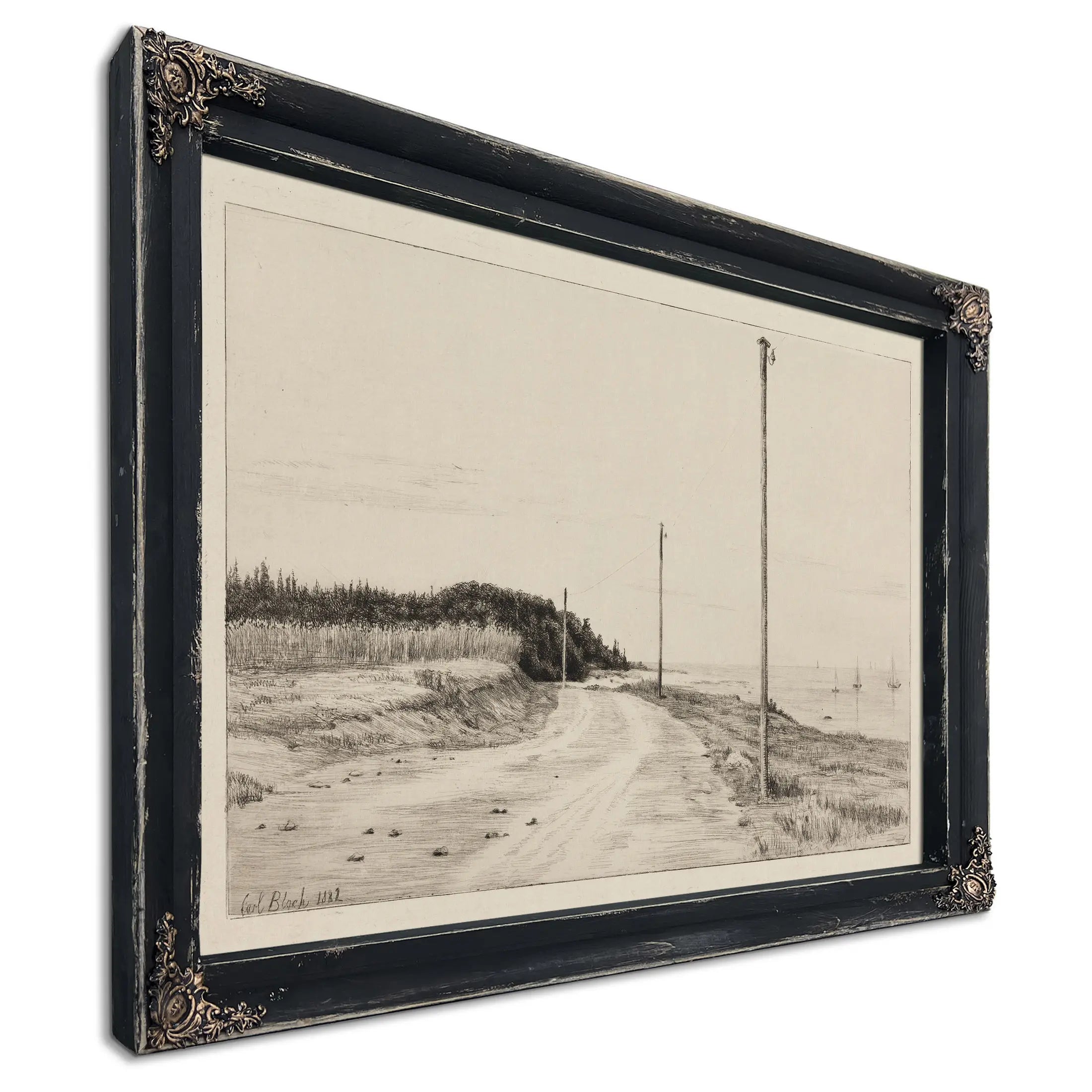 Strandvejen Ved Hornbaeksplantagen by Carl Bloch