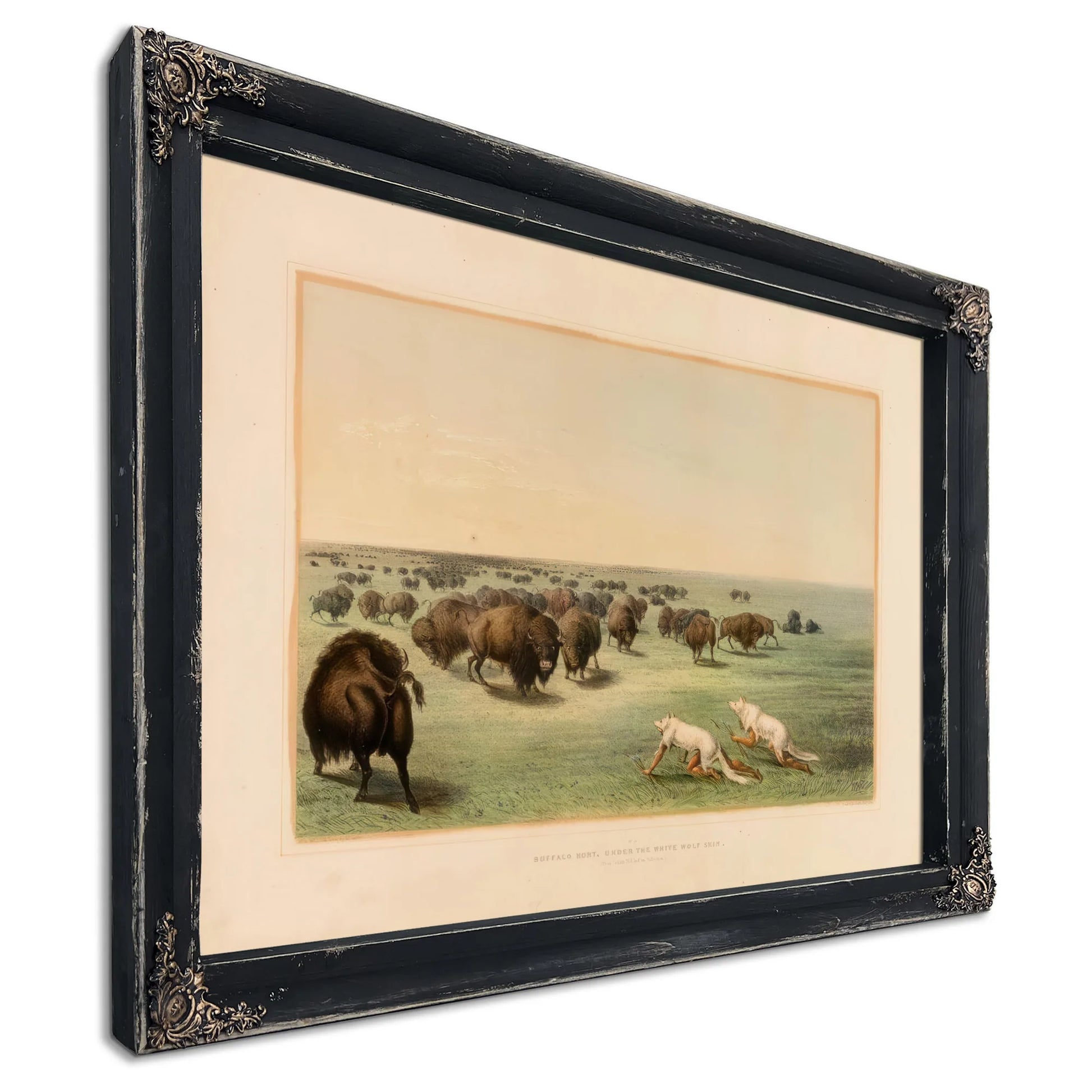 Buffalo Hunt, Under The White Wolfskin No. 13 By George Catlin Fine Art Print