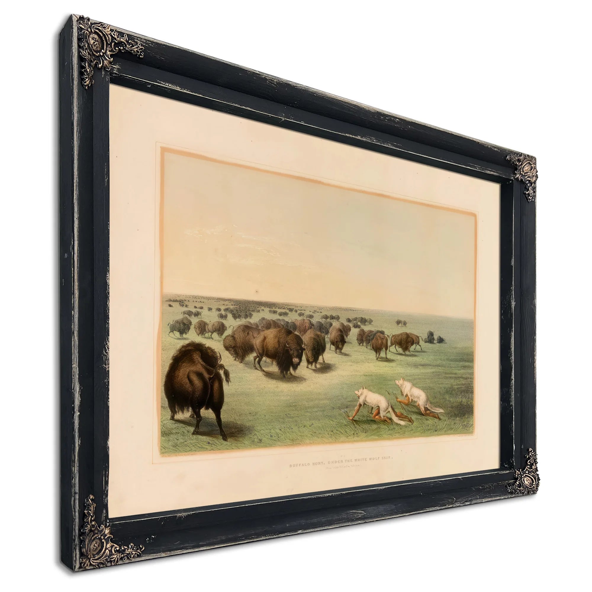 Buffalo Hunt, Under The White Wolfskin No. 13 By George Catlin Fine Art Print