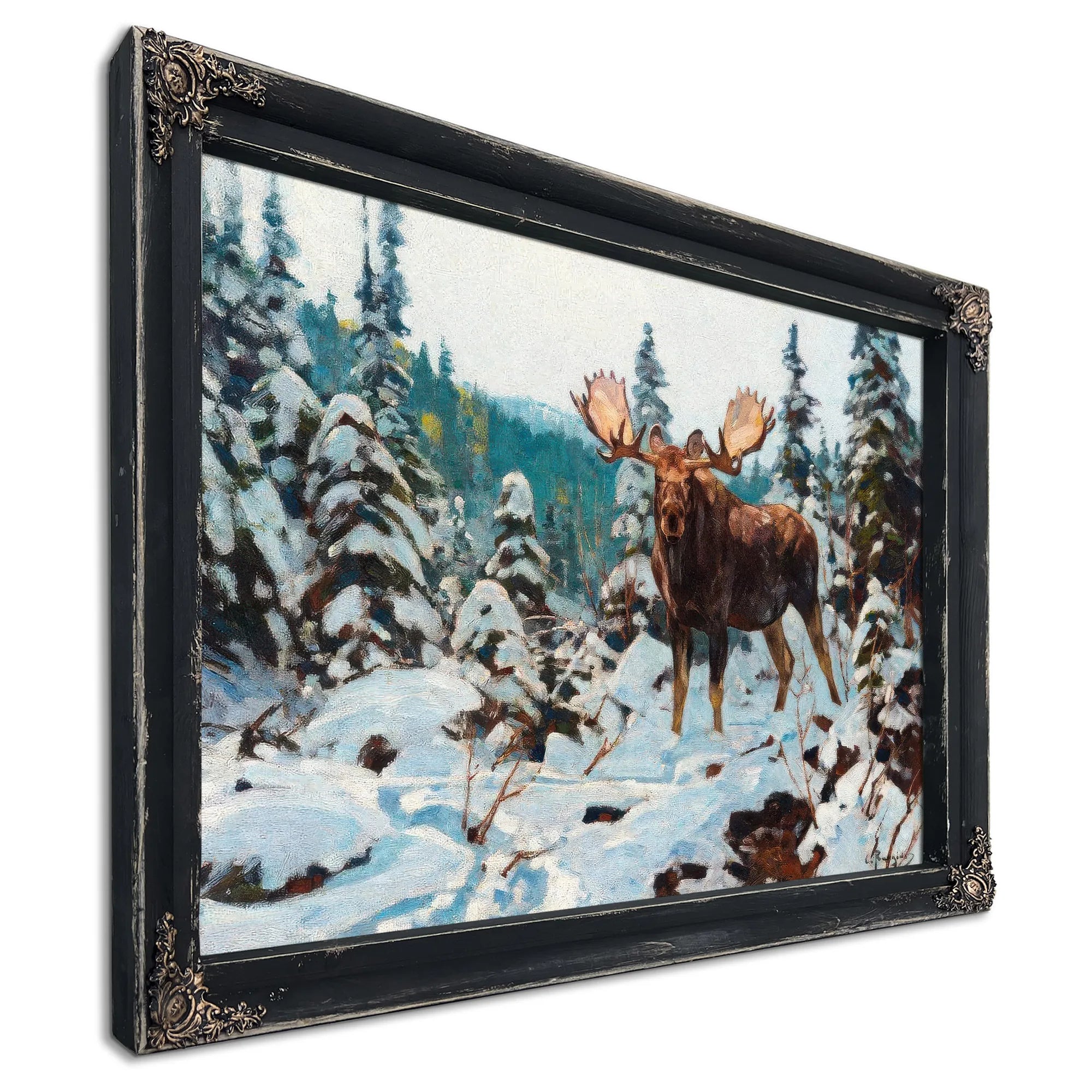 Bull Moose By Carl Rungius Fine Art Print