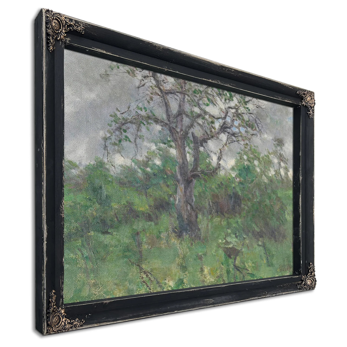 A Landscape With Tree, Spring By John Steuart Curry