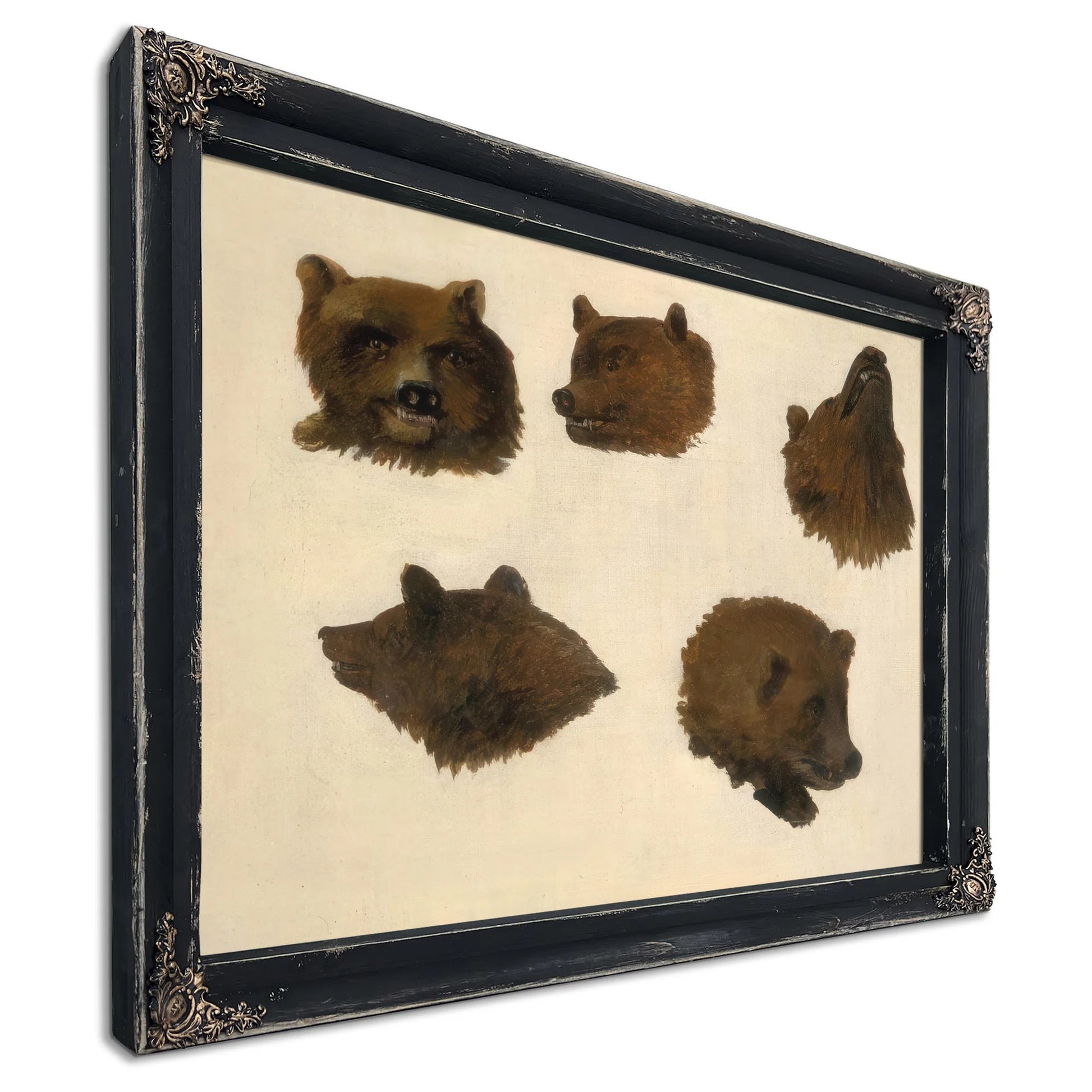 Portraits Of Two Grizzly Bears, From Life By George Catlin Fine Art Print