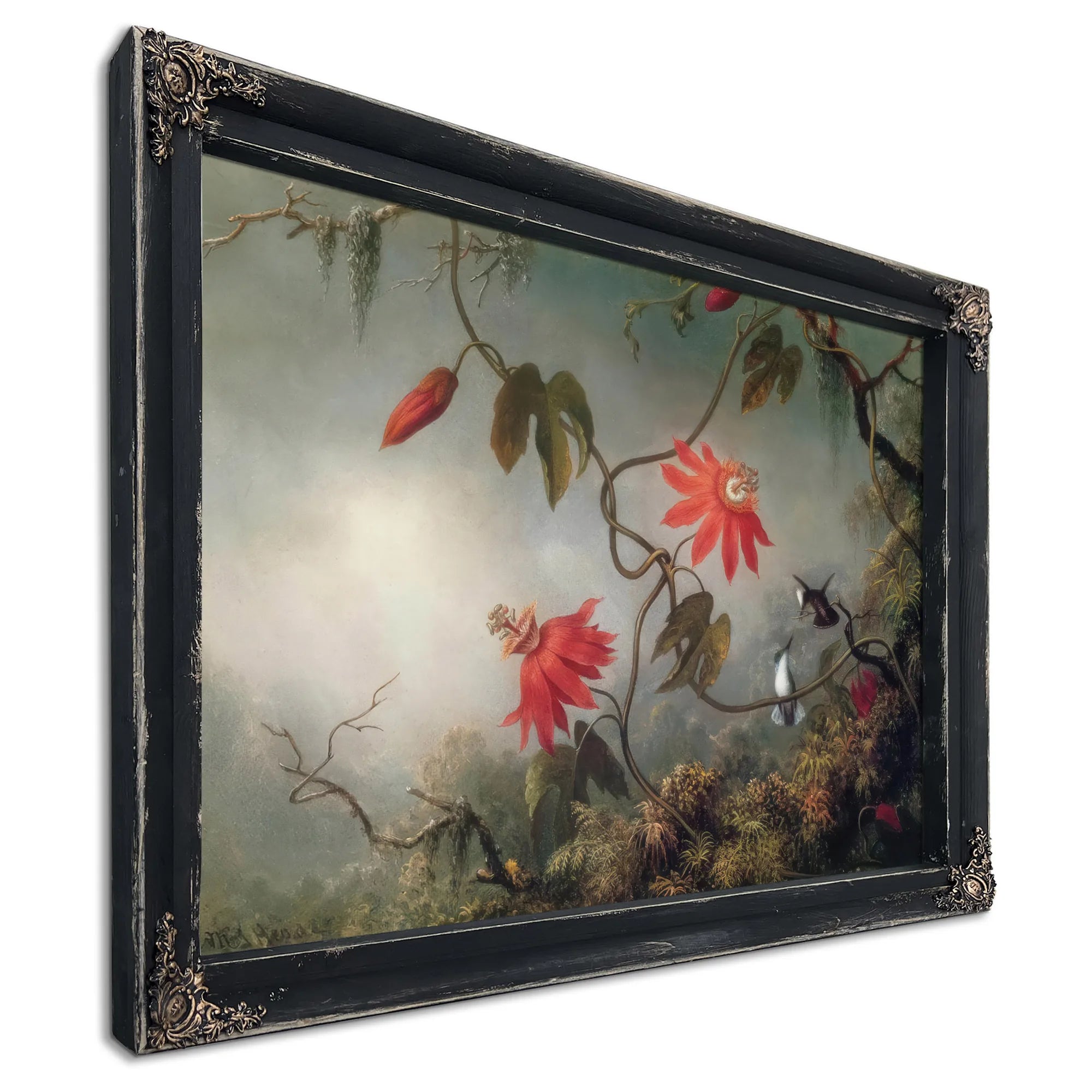 Passion Flowers And Hummingbirds By Martin Johnson Heade Fine Art Print